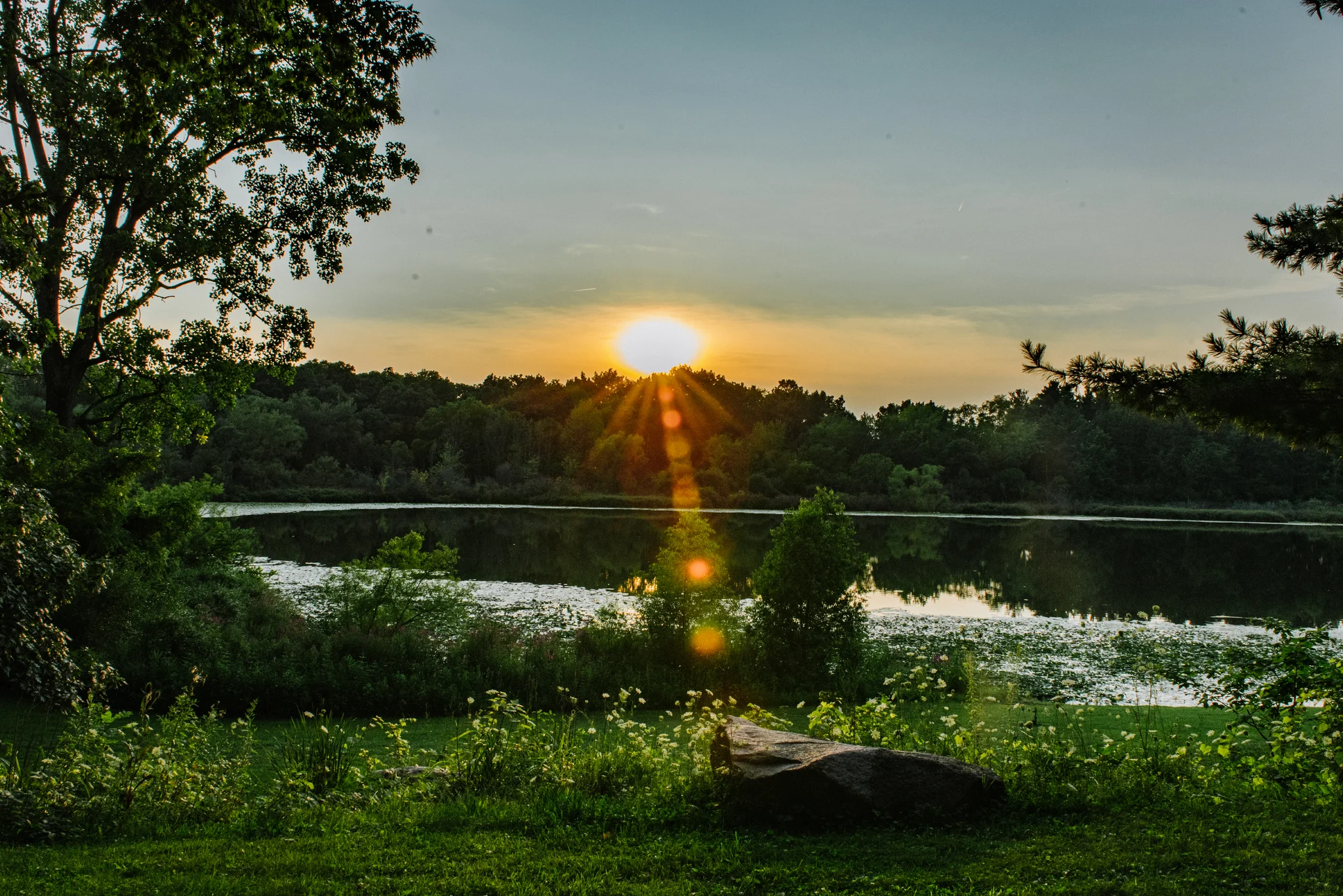 O sol se põe atrás das árvores e se reflete em um lago cercado de verde.